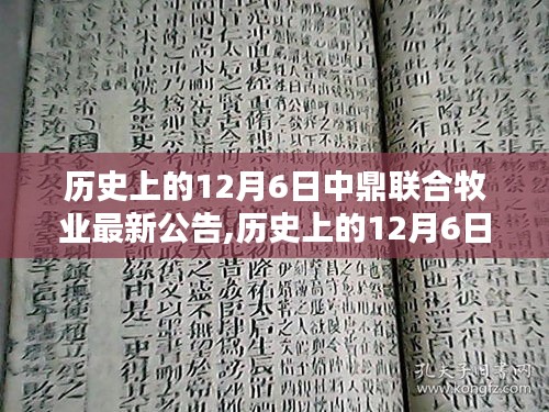 揭秘，历史上的12月6日中鼎联合牧业最新公告发布内幕