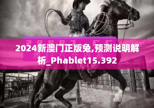 2024新澳门正版兔,预测说明解析_Phablet15.392