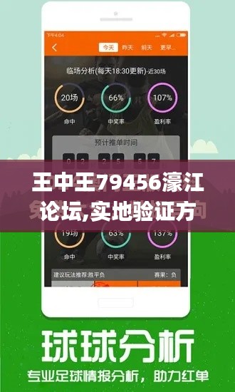 王中王79456濠江论坛,实地验证方案_Galaxy10.544