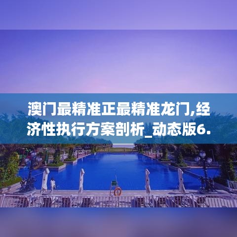 澳门最精准正最精准龙门,经济性执行方案剖析_动态版6.405