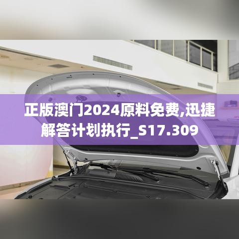 正版澳门2024原料免费,迅捷解答计划执行_S17.309