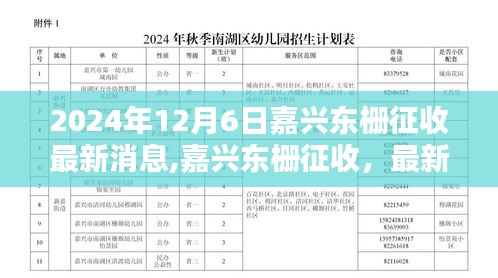 嘉兴东栅征收最新消息揭晓，深远影响与未来展望（2024年12月6日）