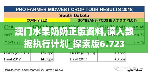 澳门水果奶奶正版资料,深入数据执行计划_探索版6.723