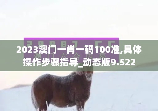 2023澳门一肖一码100准,具体操作步骤指导_动态版9.522