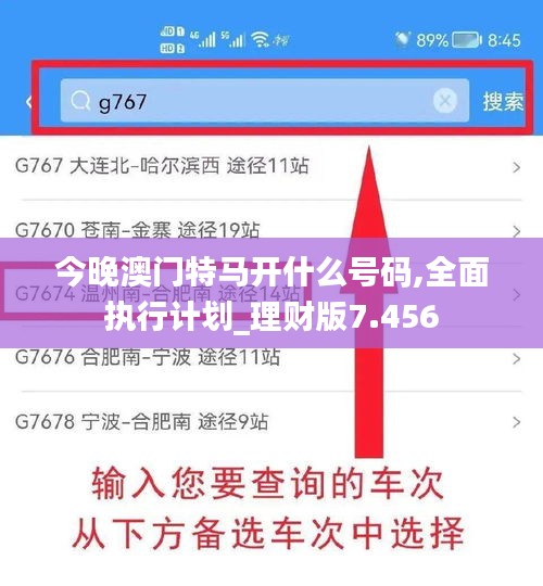 今晚澳门特马开什么号码,全面执行计划_理财版7.456