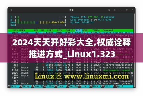 2024天天开好彩大全,权威诠释推进方式_Linux1.323