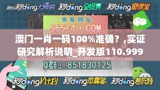 澳门一肖一码100%准确？,实证研究解析说明_开发版110.999