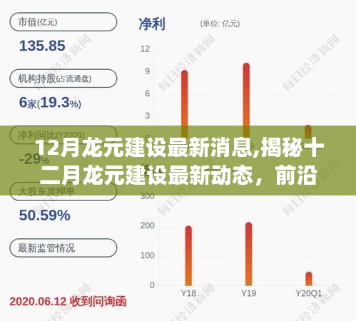 揭秘龙元建设最新动态，前沿进展与创新突破在十二月揭晓