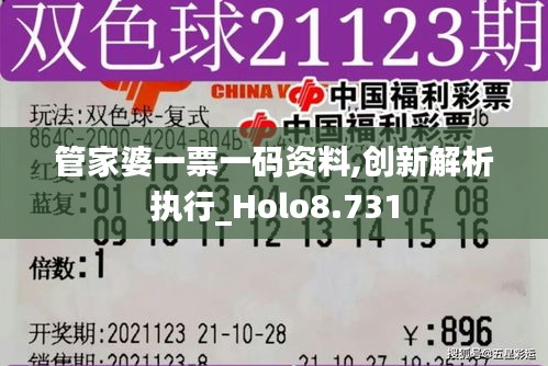 管家婆一票一码资料,创新解析执行_Holo8.731