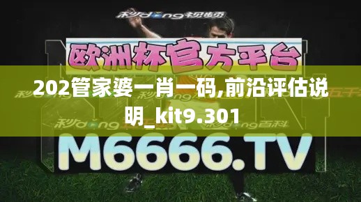 202管家婆一肖一码,前沿评估说明_kit9.301