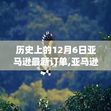 揭秘亚马逊深处的秘密，历史订单揭秘与奇妙自然之旅的探寻