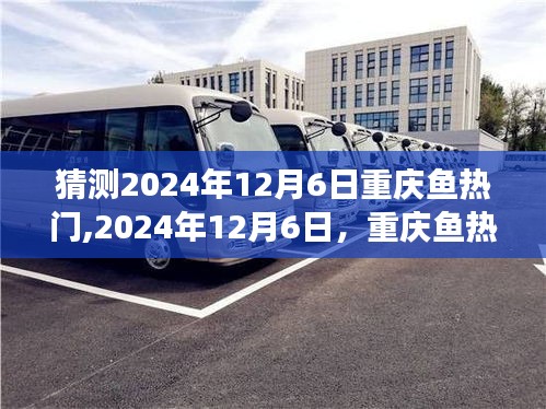 重庆鱼热门小城故事，友情、陪伴与温馨的2024年12月6日