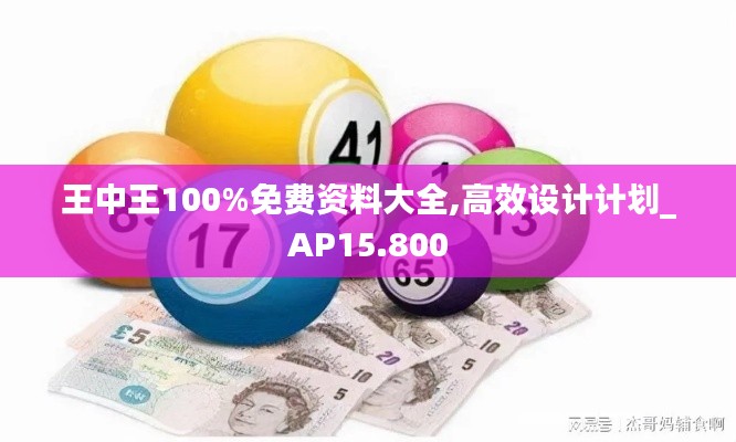 王中王100%免费资料大全,高效设计计划_AP15.800