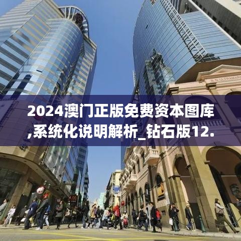 2024澳门正版免费资本图库,系统化说明解析_钻石版12.153