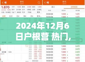 聚焦户根营热门活动，2024年12月6日活动前瞻