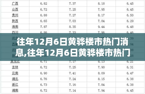 2024年12月7日 第15页