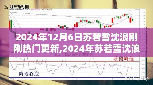 2024年苏若雪沈浪最新热门更新解析