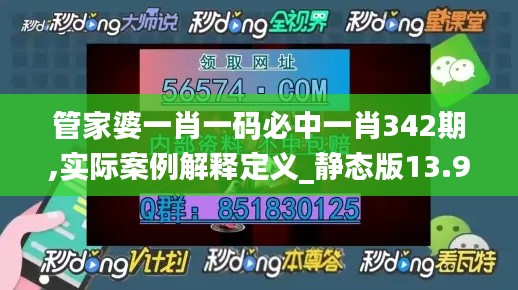 管家婆一肖一码必中一肖342期,实际案例解释定义_静态版13.955