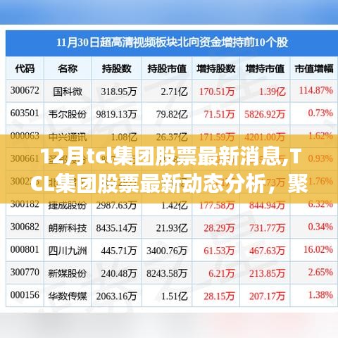 TCL集团股票最新动态分析，聚焦十二月市场动向与个人立场观点报告