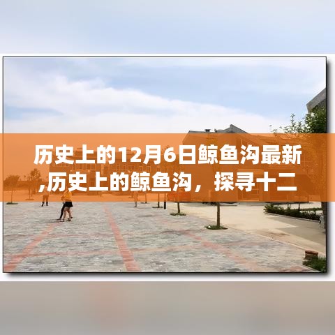 探寻历史上的鲸鱼沟，十二月六日的变迁与影响最新报道