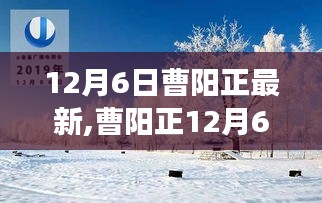 曹阳正12月6日温馨日常，冬日趣事与友情的暖阳记录