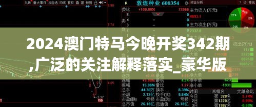 2024澳门特马今晚开奖342期,广泛的关注解释落实_豪华版7.680