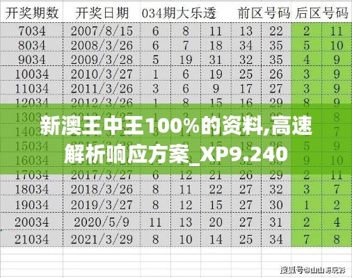 新澳王中王100%的资料,高速解析响应方案_XP9.240