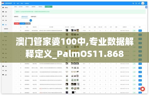 澳门管家婆100中,专业数据解释定义_PalmOS11.868