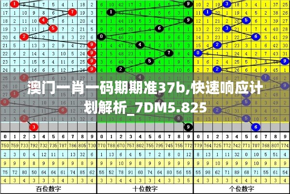 澳门一肖一码期期准37b,快速响应计划解析_7DM5.825