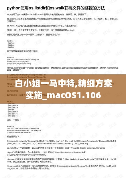 白小姐一马中特,精细方案实施_macOS1.106