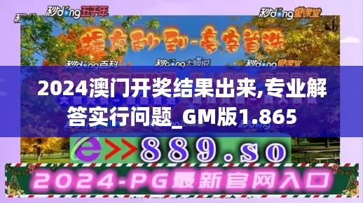 2024澳门开奖结果出来,专业解答实行问题_GM版1.865