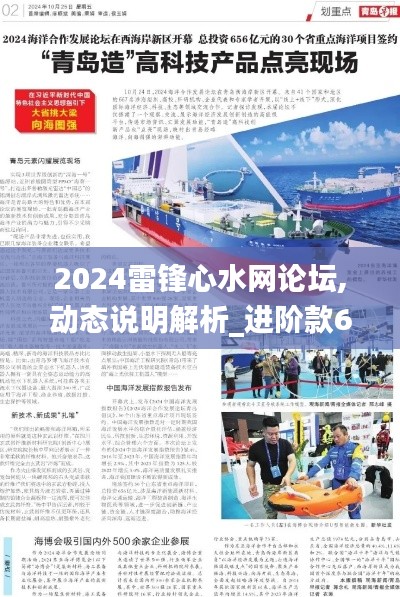 2024雷锋心水网论坛,动态说明解析_进阶款6.656