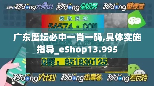 2024年12月8日 第59页