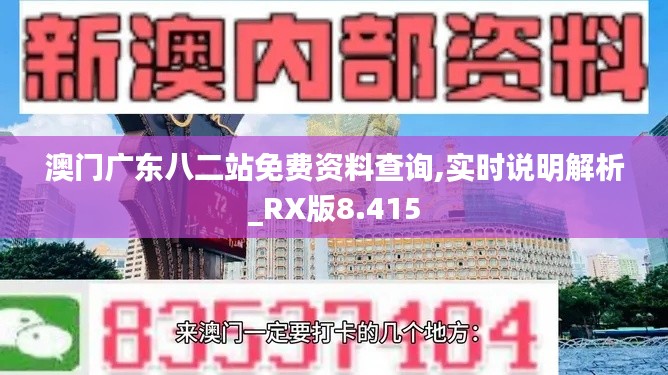 澳门广东八二站免费资料查询,实时说明解析_RX版8.415