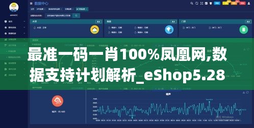 最准一码一肖100%凤凰网,数据支持计划解析_eShop5.286