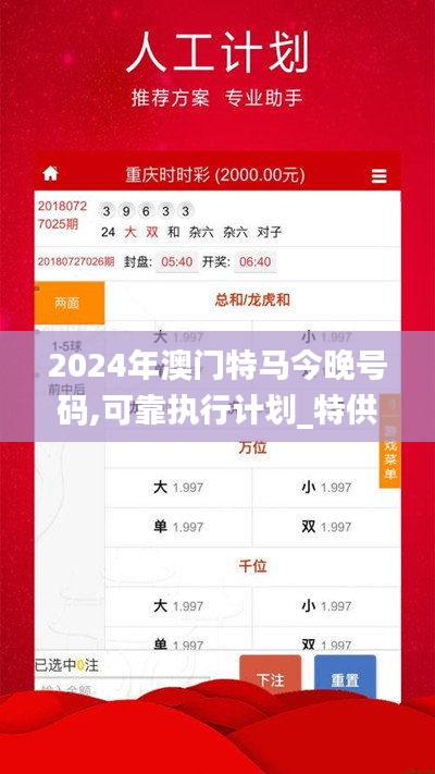 2024年澳门特马今晚号码,可靠执行计划_特供款1.111