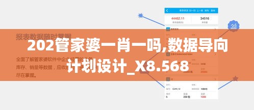 202管家婆一肖一吗,数据导向计划设计_X8.568