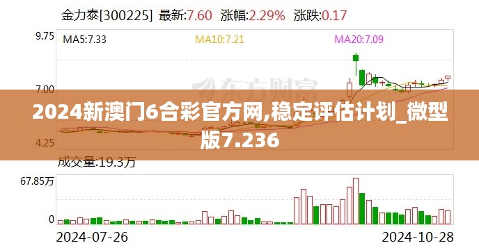 2024新澳门6合彩官方网,稳定评估计划_微型版7.236