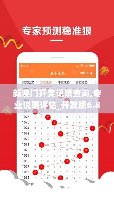 新澳门开奖记录查询,专业说明评估_开发版6.854