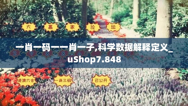 一肖一码一一肖一子,科学数据解释定义_uShop7.848