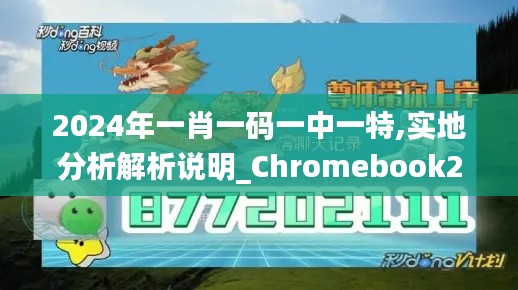 2024年一肖一码一中一特,实地分析解析说明_Chromebook2.182