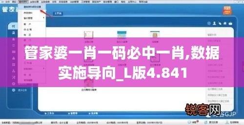 管家婆一肖一码必中一肖,数据实施导向_L版4.841