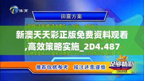 新澳天天彩正版免费资料观看,高效策略实施_2D4.487