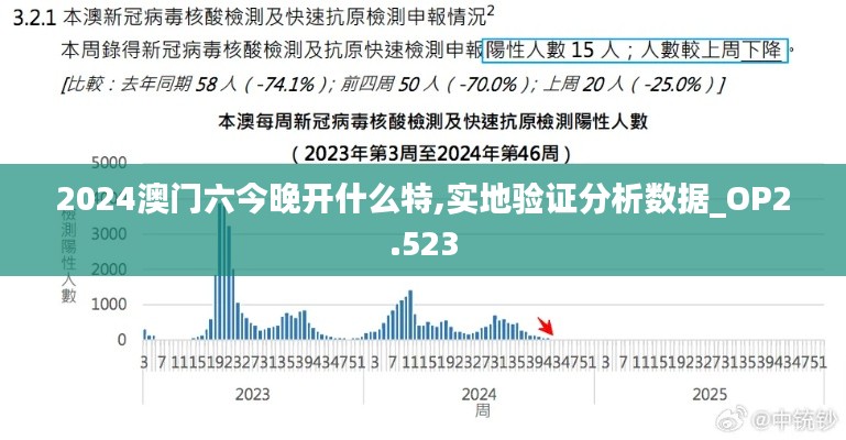 2024年12月8日 第36页