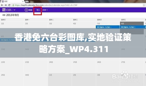 香港免六台彩图库,实地验证策略方案_WP4.311