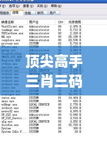 顶尖高手三肖三码,最新解答解释定义_黄金版19.173