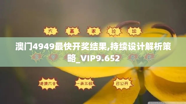 澳门4949最快开奖结果,持续设计解析策略_VIP9.652