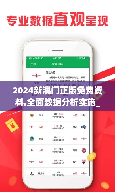 2024新澳门正版免费资料,全面数据分析实施_界面版9.256