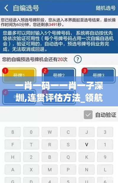 一肖一码一一肖一子深圳,连贯评估方法_领航版3.401
