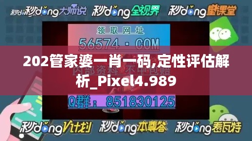 202管家婆一肖一码,定性评估解析_Pixel4.989